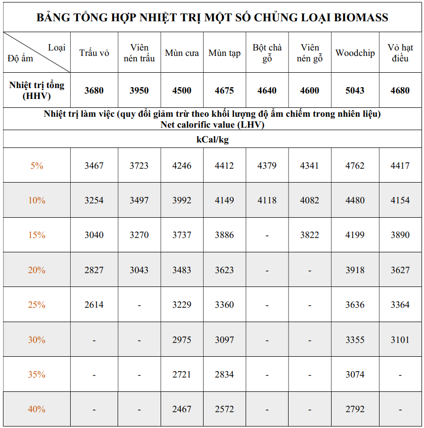NHIỆT TRỊ NHIÊN LIỆU BIOMASS